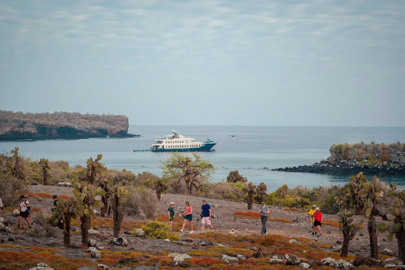 Yacht anchored off a Galapagos shoreline