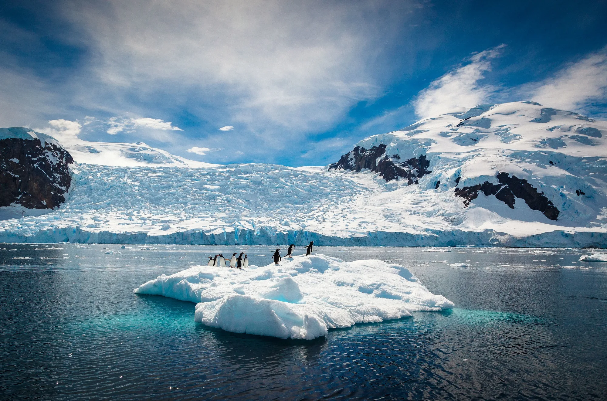 Ice-filled bay beneath snow-covered peaks