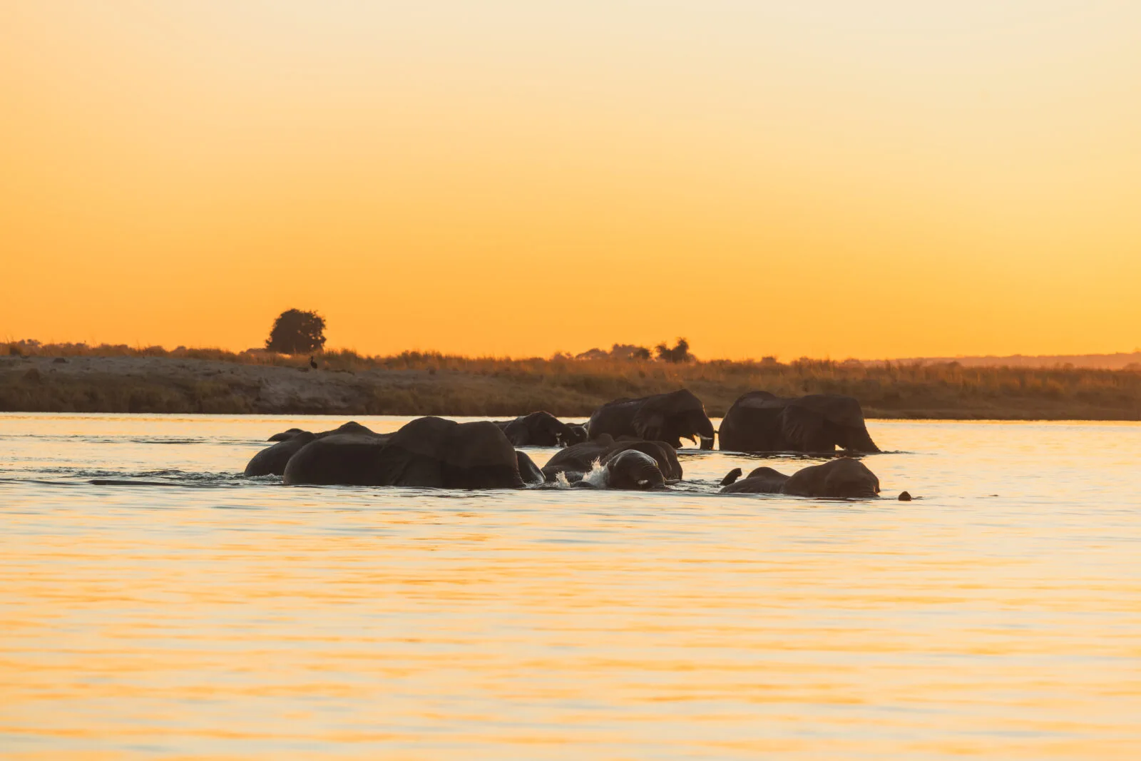 River at sunset